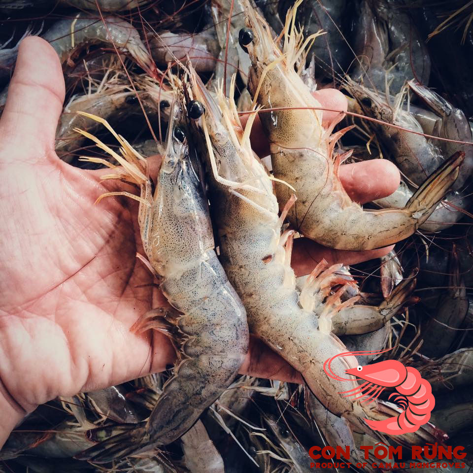 Thumbnail: Home-grown oranges