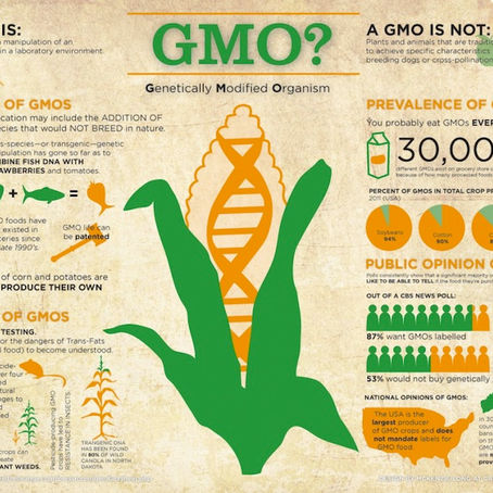 HIỆN TRẠNG THỰC PHẨM BIẾN ĐỔI GEN GMO ĐÁNG BÁO ĐỘNG