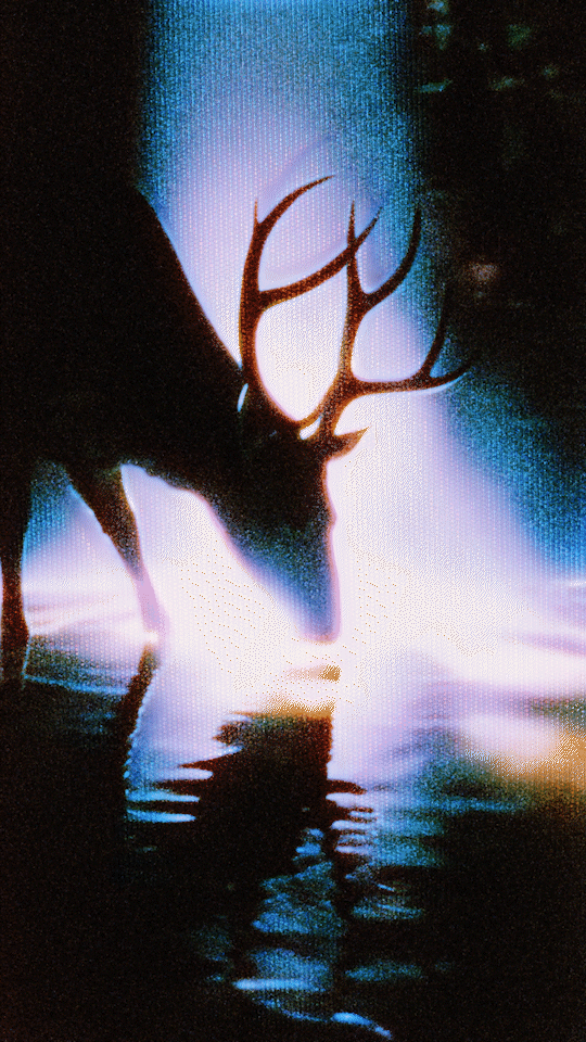 Liminal phantom clip gif 10fps 540.gif