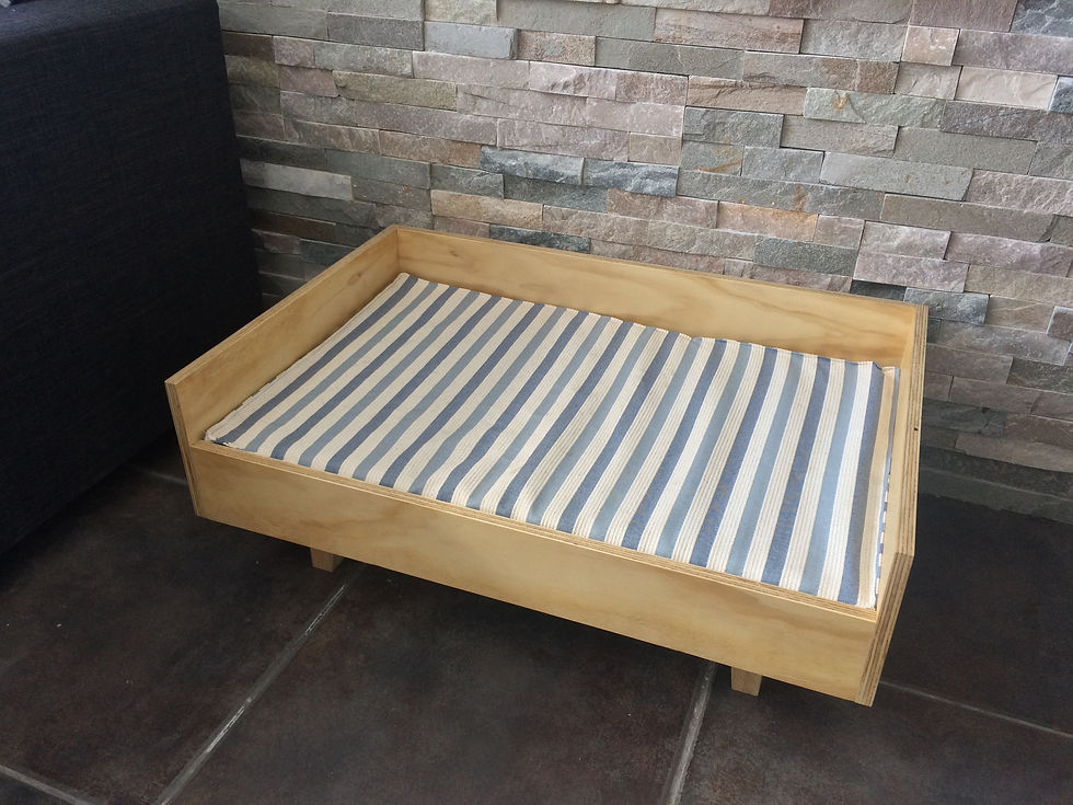 Cama IV