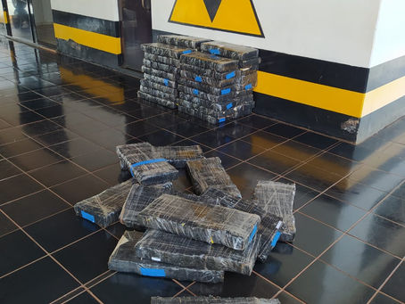 PMPR apreende meia tonelada de maconha em Assis Chateaubriand