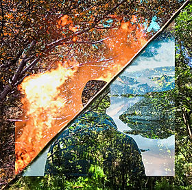 Example Animations0 (0;00;03;29)_1 copy