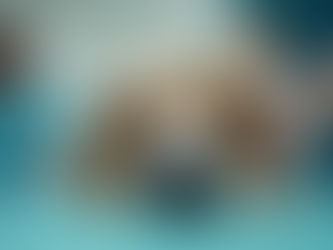 Benefits of Veterinary Physiotherapy for Dogs