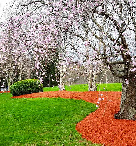 mulch clancy lawn company 2.jpg