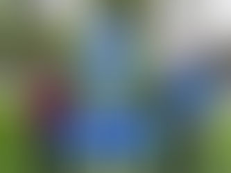 Last Day on the Trail