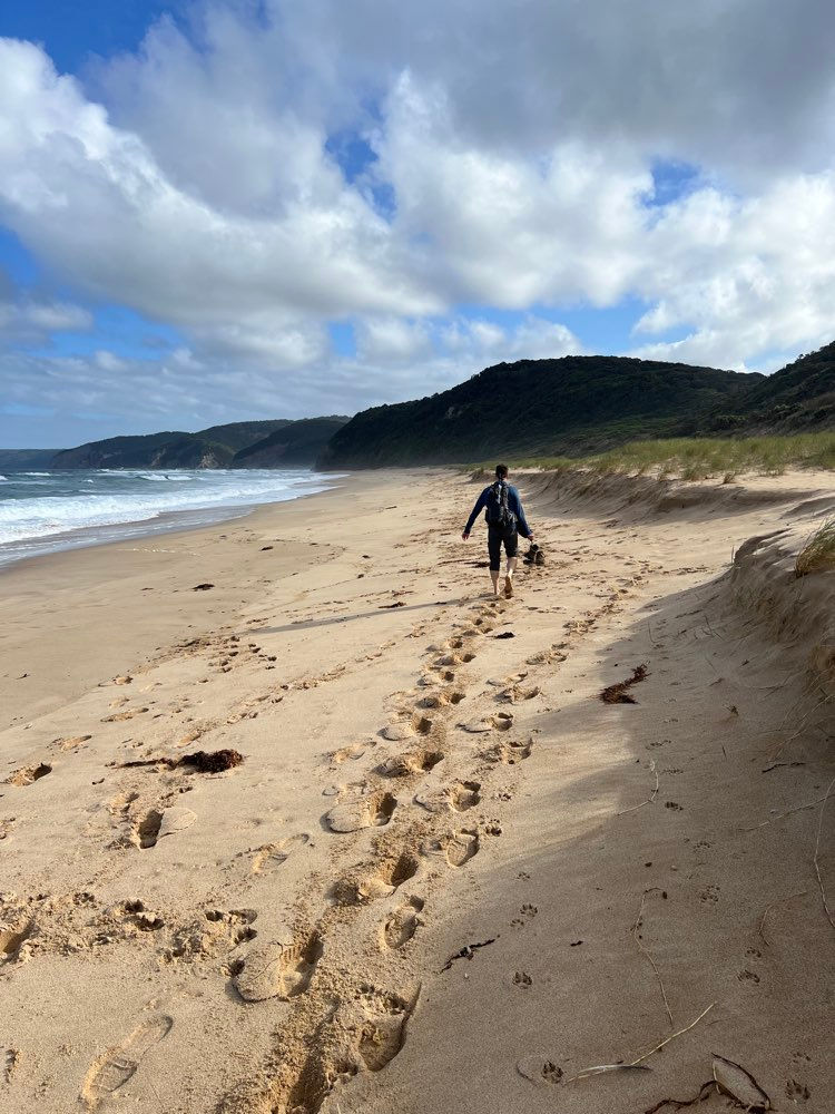 Unlike yesterday, the tides were in our favor and we were able to walk a couple of miles along the beach — which our calf muscles will no doubt be reminding us of tomorrow!