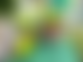 Elbe Cycle Route Day 2: Vrchlabí to Jaromeřě