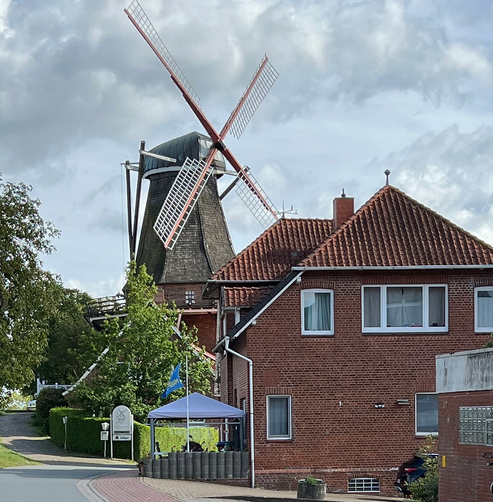 This region, known as Altes Land, was once marshland. In the 12th century, industrious Dutch settlers drained it using dikes and pumping windmills, transforming it into fertile farmland. Today, it’s one of the largest fruit-growing areas in Northern Europe.