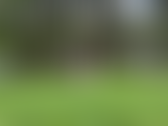 54 Miles Down - 138 Left To Go