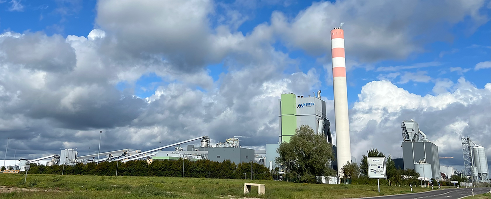 Part of the site has since been repurposed into a pulp and paper factory.