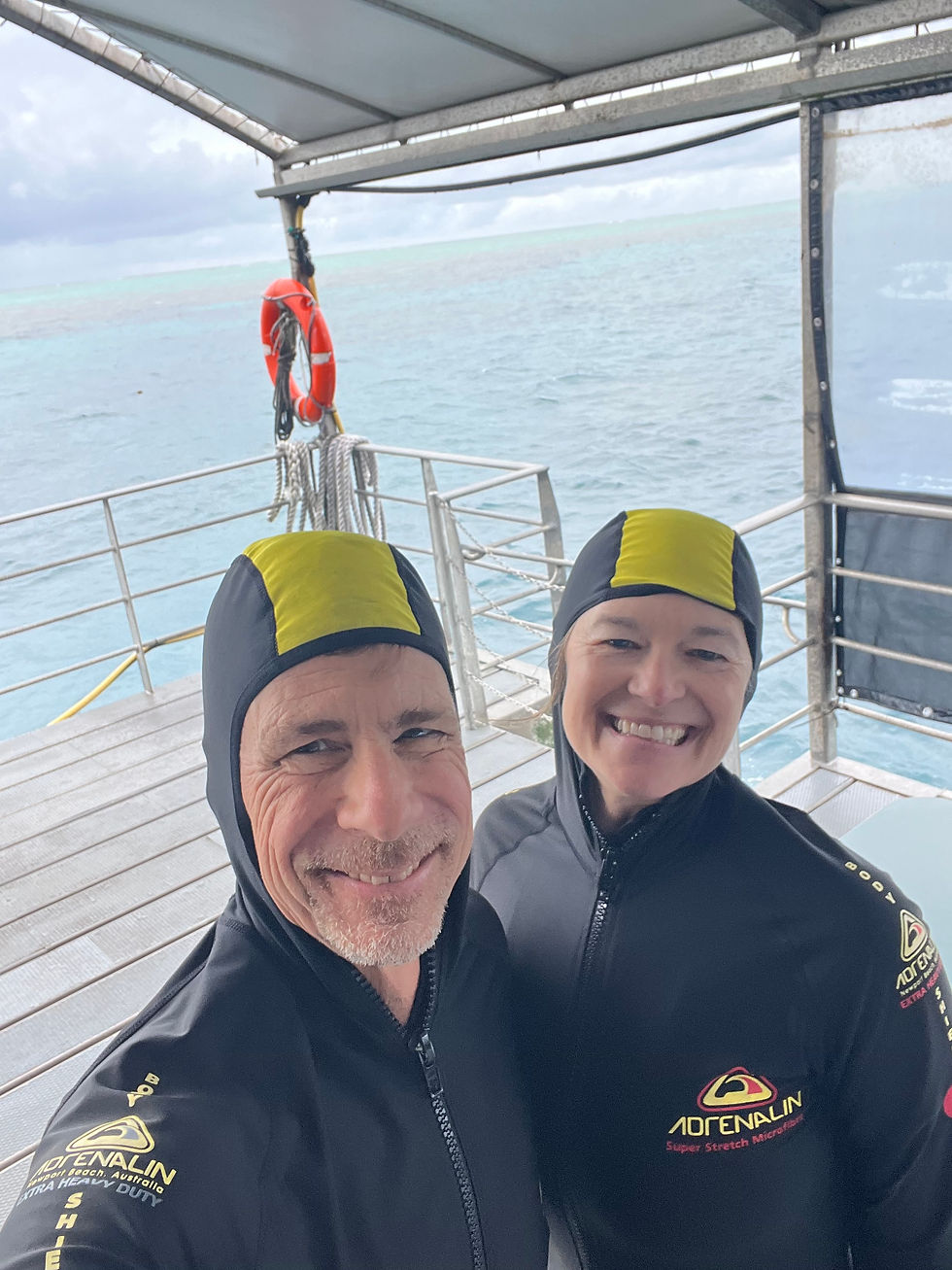 We wore lightweight suits for jellyfish protection, which also helped with the chill on an overcast day. No sharks, no jellyfish, no stingy or bitey surprises — just impossibly colorful fish, and one very unhurried sea turtle.