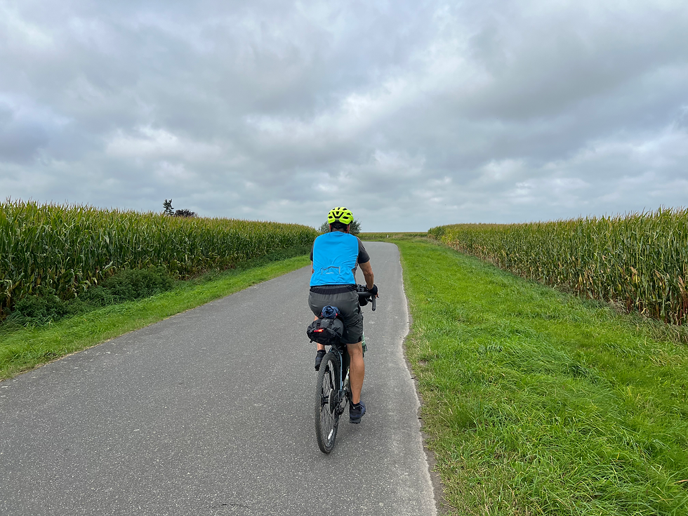 We’ve pedaled past plenty of corn in Eastern and Northern Germany. The main crops are wheat, rye, and barley, but corn ranks high as livestock feed and bioenergy. Today, it felt a whole lot like Ohio—corn everywhere!