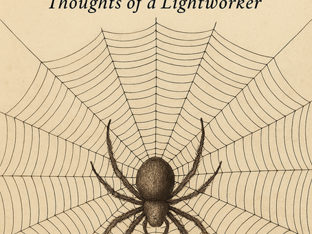 🕷️ Spider Medicine: Weaving Sovereignty Into My Skin