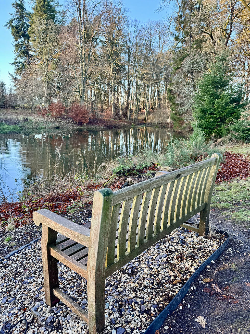Mindfulness practice 1