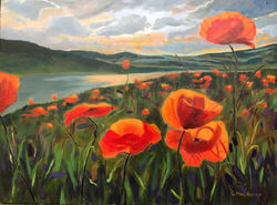 Field of Poppies