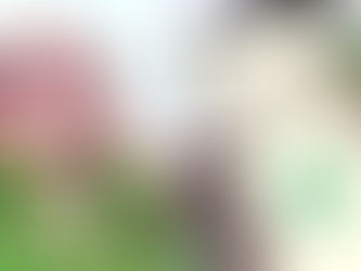 क्या UPI पेमेंट पर लगेगा अतिरिक्त शुल्क? सुप्रीम कोर्ट ने व्यवस्था पर रोक लगाने से किया मना....