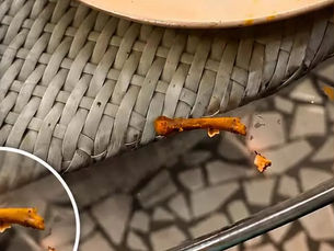 ग्राहक का फूटा गुस्सा, वेज ऑर्डर किया था खाने में मिली हड्डी... 