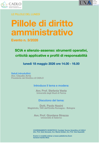 LE PILLOLE DI DIRITTO AMMINISTRATIVO DEL LUNEDÌ N. 3/2026