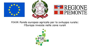 banner_web_PSR20142020.jpeg
