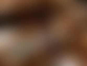 WHERE TO BUY OUR WINE?