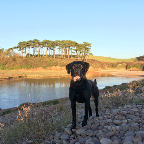 Budleigh Salterton