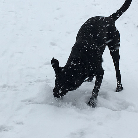 snow fun!