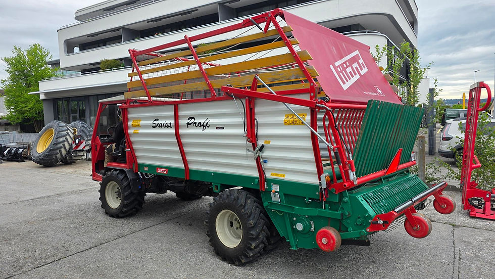Ladegerät Lüönd Swiss Profi