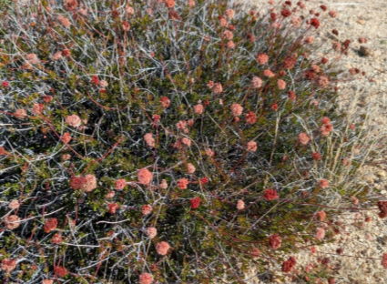 Screenshot 2026-02-26 at 5.59.20 PM.png