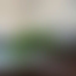 キッチンの整理収納サポートのご報告