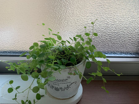 キッチンの整理収納サポートのご報告