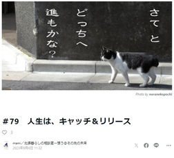 人生は、キャッチ＆リリース