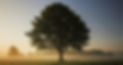 simon-wilkes-S297j2CsdlM-unsplash_edited.jpg