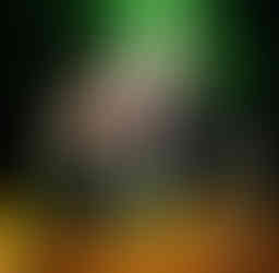 Brad R Lambert with Katie Lambert at the "Avengers: Infinity War" World Premiere in Los Angeles, CA.