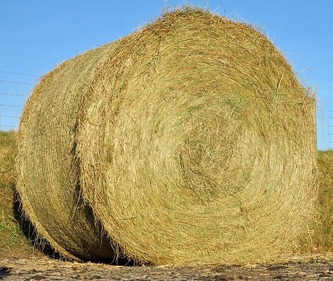 fullsizeoutput_25.jpeg