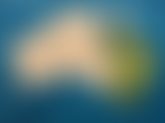 High quality Australian red meat cuts displayed by a local butcher, Sydney North and Northern Beaches produce, Devitt Meats Narrabeen