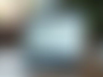 Applying for US Citizenship Online Made Simple: Your Citizenship Online Application Guide