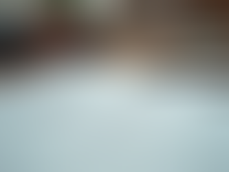 Qualities of an Experienced Immigration Attorney for Expert Immigration Legal Support