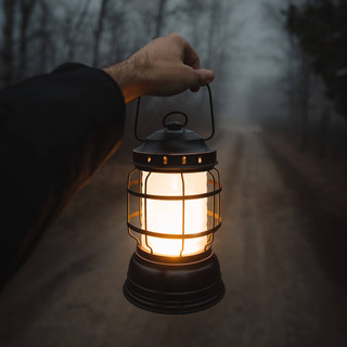 Barebones Holding light.jpeg