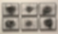 nests.jpg