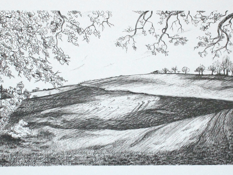 Exploring the Overlooked: Drawing for a Deeper Connection with Our Surroundings