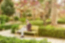 PalazzoParisio_reading-garden_008_FINAL.jpg