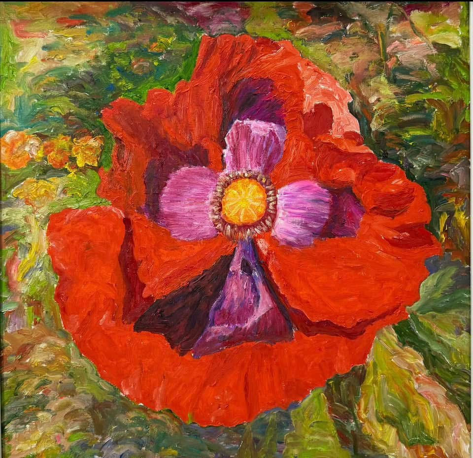 Pink Poppy Flowers