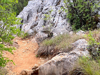 A Journey Down Apparition Hill