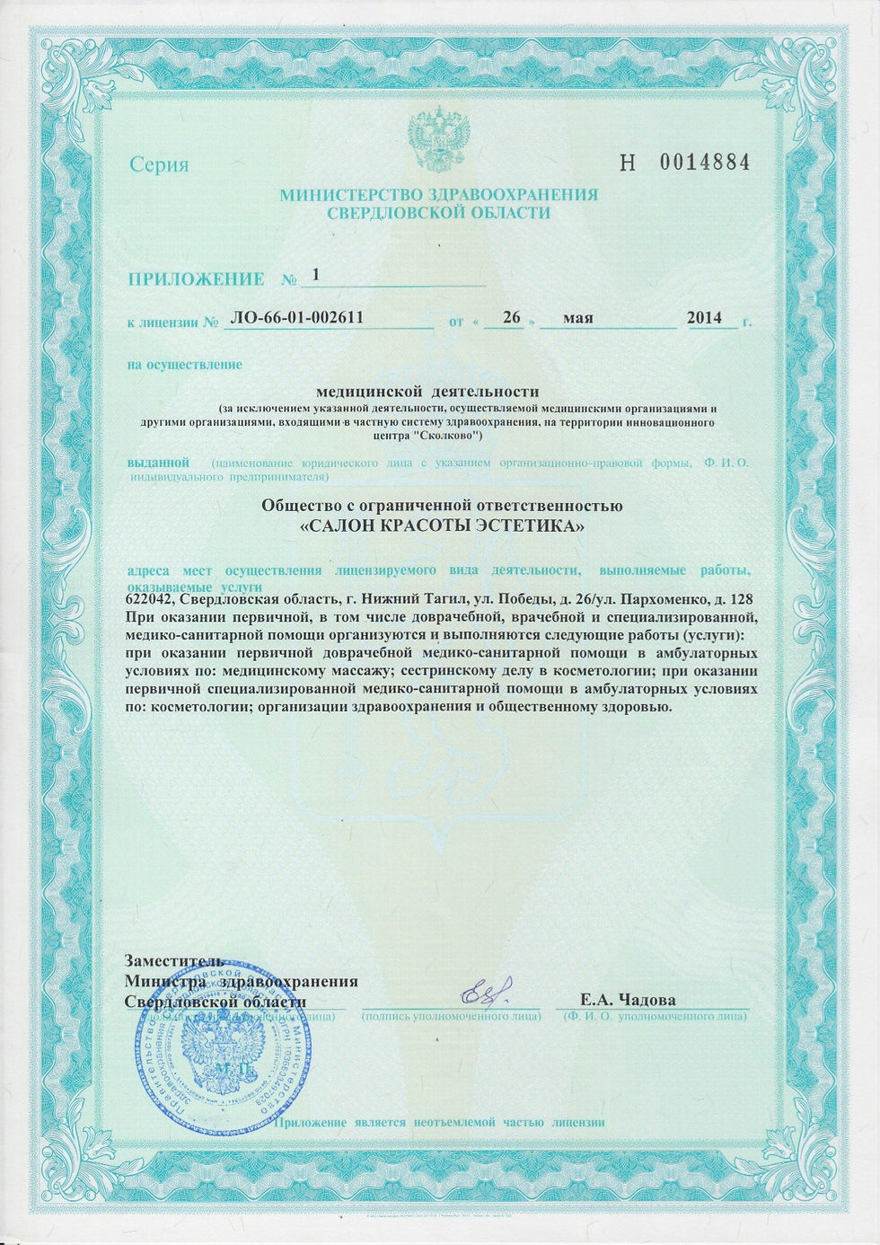 Мед лицензия СК Эстетика цв 3