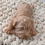 Miniaturbild: pequeño cachorro