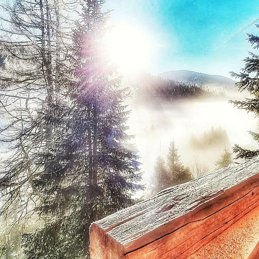 Terrassenblick