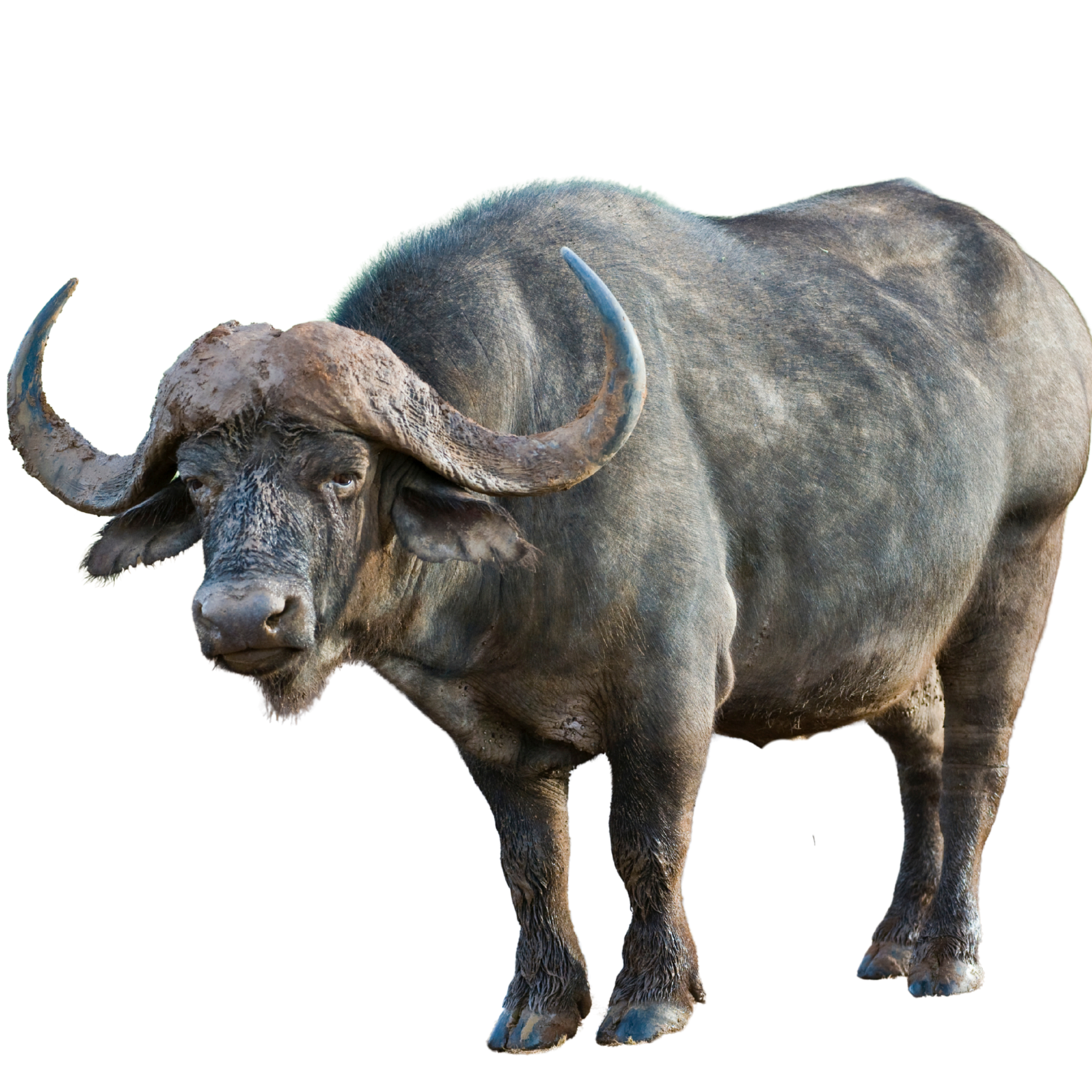 Progetto senza titolo (45).png