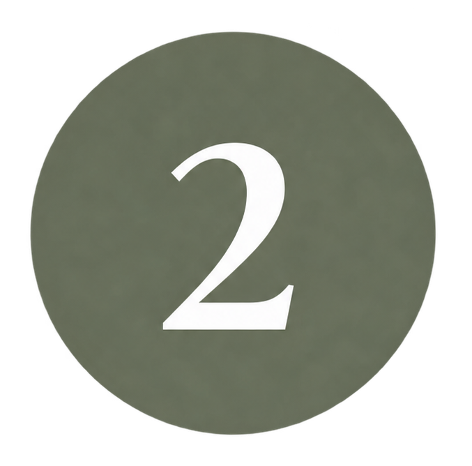 2 icon.png
