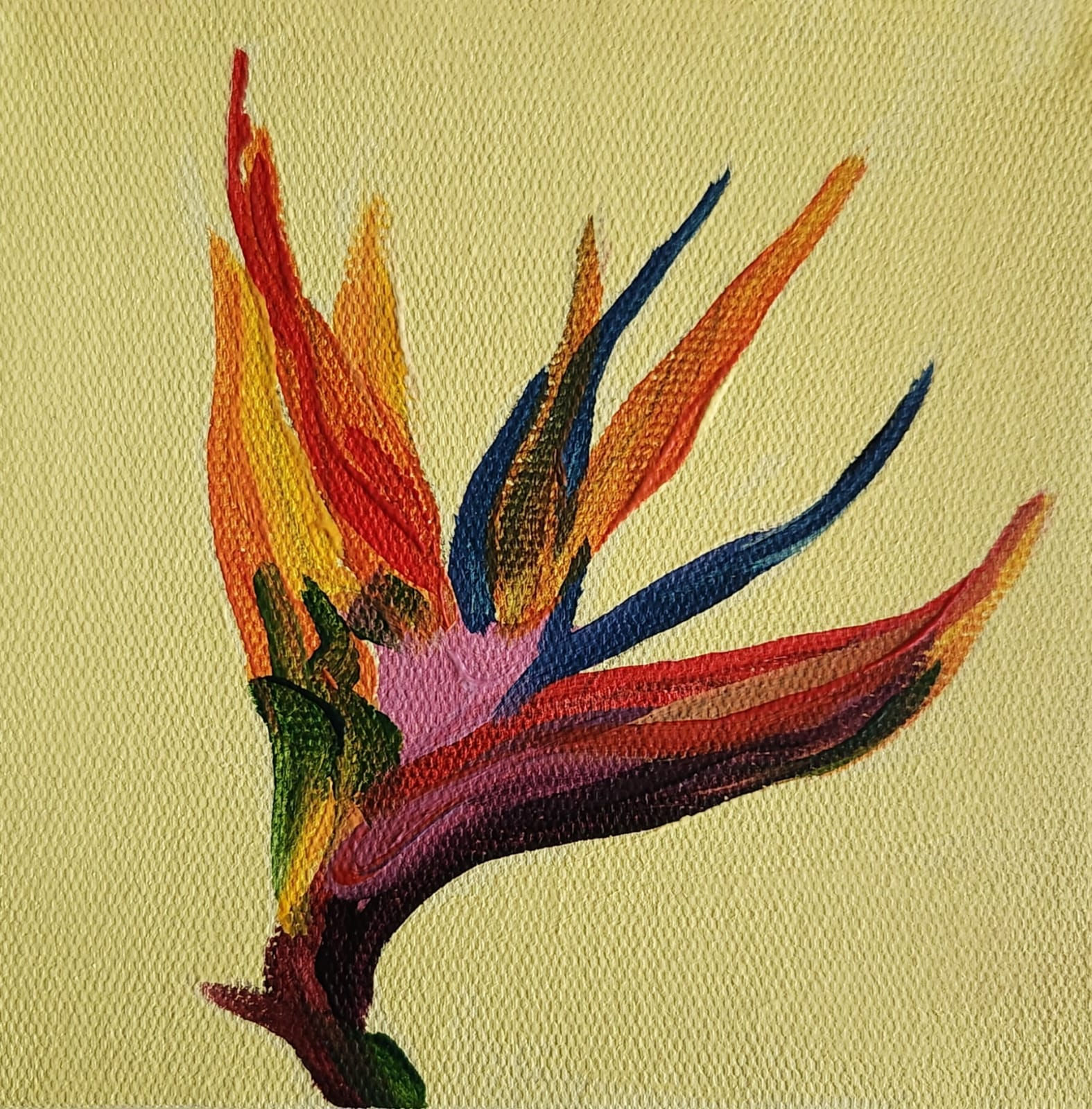 Cennet Kuşu Çiçeği