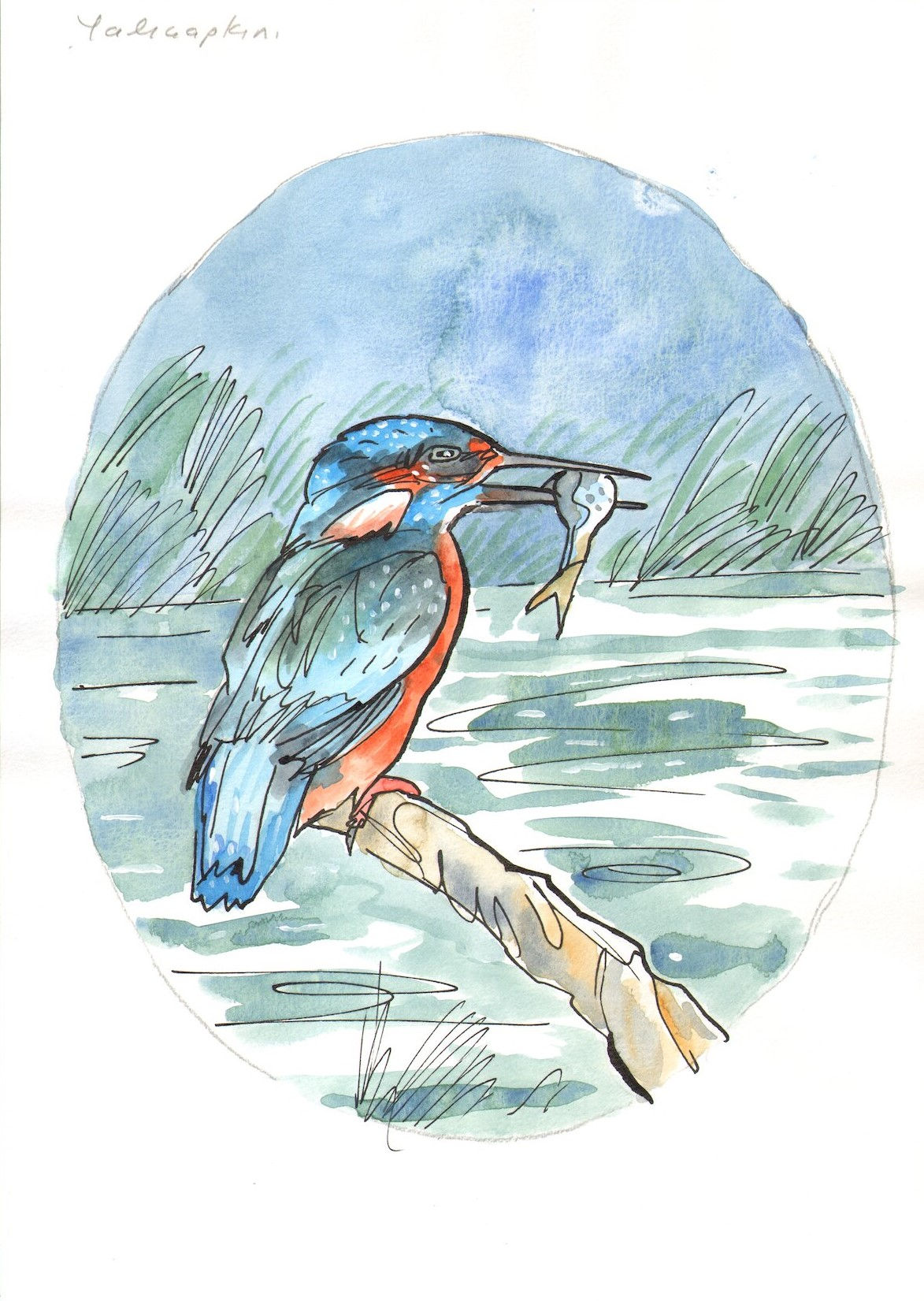 Edebiyatta Kuşlar - Ekim - Tuncer Erdem